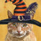 20 Servietten Herbst Katze mit Hexenhut als Tischdeko. Papierservietten mit Motiv. Auch für Decoupage und Serviettentechnik 33x33cm