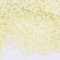 6500 Stücke Glas Rocailles Perlen 2mm Ceylon, 10 Farben, 11/0, Pony Perlen, Ceylon gelüstert, Seed Beads, (Zuchtperlen Krem)