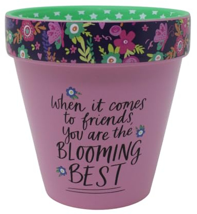 WPL Gifts Love Plants Small Flower Planter Pots - Fun Quotes & Humour in Pastel Colours - with Optional Coaster Add On - Perfect Floral Home Decor (When It Comes To Friends)