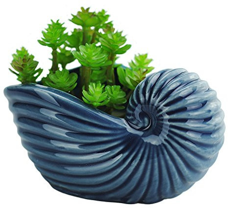 VanEnjoy Keramik-Sukkulentententopf, 12,7 cm, Ozeanblaue Muschel-Serie, Muschelförmiger Kaktus-Pflanzgefäß – niedlicher Seifenbehälter und Vasenschale