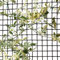 Garden Mile General Purpose Garden Mesh Outdoor Indoor Fencing Plant Support Plastic Mesh Netting for Climbing Plants Protection Garden Allotment Cover Pest Deterrent Heavy Duty Green - 20mm, 1 x 5m