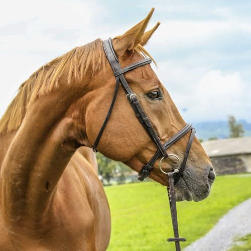 Vespucci Plain Raised Jump Bridle Horse