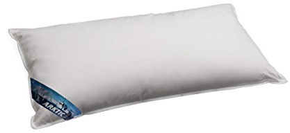 ARKTIC Daunenkissen 40x80 cm ohne Federnanteil, Flachkissen Natur