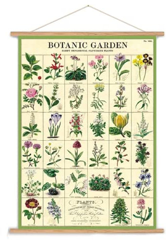 Cavallini Vintage Poster Set mit Holzleisten (Rahmen) und Schnur zum Aufhängen, Motiv Botanic Garden, Blumen, Pflanzen