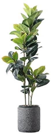 PIPONS Künstliche Pflanzen Künstliche Pflanze Simulation Gummibaum Gefälschte Grünpflanze Büro Wohnzimmer Indoor Outdoor Dekoration Fake Pflanzen Dekor (Color : A, Size : 150cm)