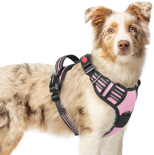 rabbitgoo Hundegeschirr Mittelgroße Hunde, Verstellbare Geschirr Hund ohne Zug & Würgen, Anti Zug hundegeschirr mit Griff, weich Gepolsterte Reflektierende Brustgeschirr, Rosa M