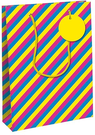 Eurowrap 33880-2C - Packung 6 Geschenktasche - Tüte Excellia, Format Shopping (26,5x14x33 cm), robust und wiederverwendbar, für voluminöse Geschenke, Kinder Neon, 6 Stück