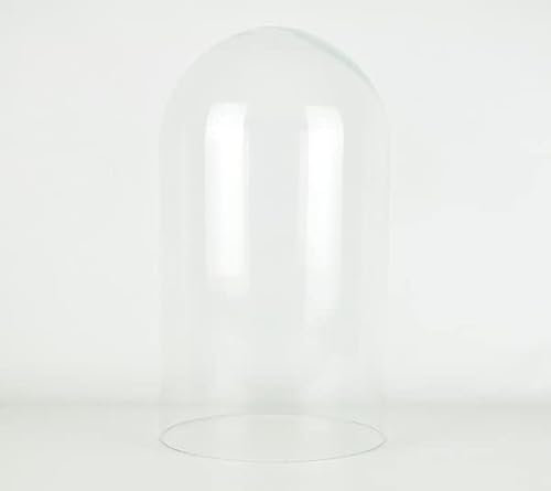 EMH Campana in vetro per esposizione in stile vintage, altezza: 50 cm x 22 cm