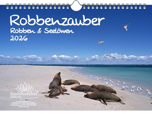 Robbenzauber DIN A4 Kalender für 2026 Robben und Seelöwen - Set Inhalt: 1x Kalender 1x Weihnachtsanhänger 1x Grußanhänger (gesamt 3 Teile)