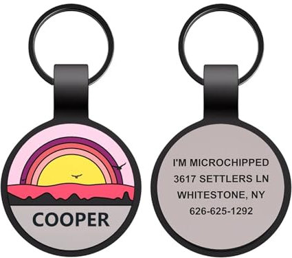 Etiquetas de Silicona Personalizadas para Perros y Gatos con Grabado de Nombre, Etiquetas de Identificación Silenciosas Personalizadas para Mascotas Chapa Perro Grabada (Costa Gris, Redondo)