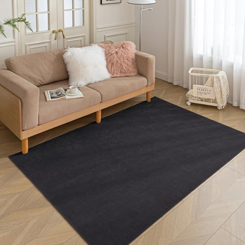 HARESLE Black Washable Bedroom Rugs 60x90cm Small Carpet for Kitchen | 5mm thickness, Non-slip, Durable, Thin, for living room, bedside, play room, dining room, office