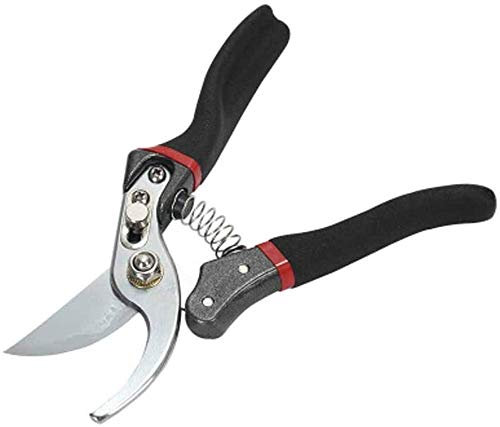 Sécateur coupe-ongles Ciseaux de jardin Ciseaux à haies manuels Sécateur de petite taille Tondeuse Sécateur de jardin Sauvé