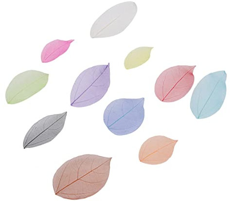 Cabilock 40st Skelett Natürliche Blätter Scrapbooking Blätter Skelettblätter Zum Basteln Gummibaum Blätter Hochzeits-sammelalbum Blattskelett Kunst Armband Sache