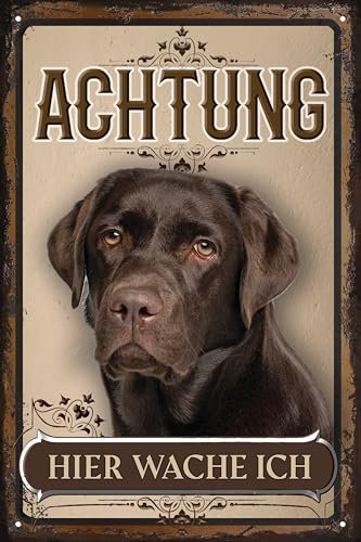 30 x 20 cm wetterfestes Blechschild, Warnhinweis, Torschild, Achtung, hier Wache ich! Warnung vor dem Hund (Labrador braun)