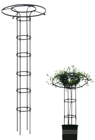 Klettergerüst für den Garten – Reben mit Stützrahmen, Halterung aus Metall | Garten-Kletterregal für Gemüse, Blumen und Kletterpflanzen, robustes Außenregal, Stützrahmen