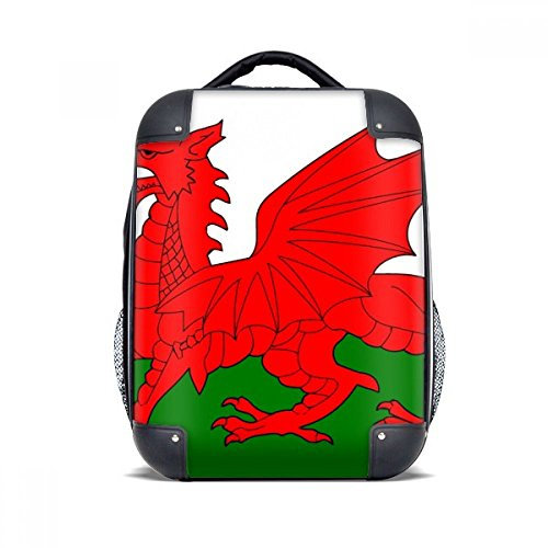 DIYthinker Wales Nationalflagge Europa Land Hard Case Schulter Kind-Rucksack-Geschenk 15