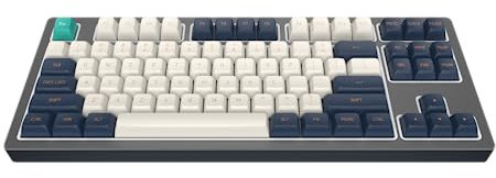 Dark Project KD87B LTD Aluminium-Gaming-Tastatur, TKL, 87 Tasten, Gateron Cap Teal Mechanische Schalter, Fettstabilisatoren, anpassbare RGB-Hintergrundbeleuchtung, USB-Tastatur, schwarz (ENG)