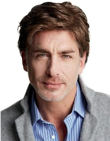 Salaibs Brown Short Wigs for Men Natural Layer Male Hair Syntehtic Heat Resistant Fiber Daily Wig Cap