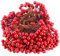 BBTO Artificial Holly Berries on Wire Stems, 250 Stems with 500 Pieces 8 mm Fake Berries for Tree Decorations Wreath Craft Use Wedding Party Favor (Red)