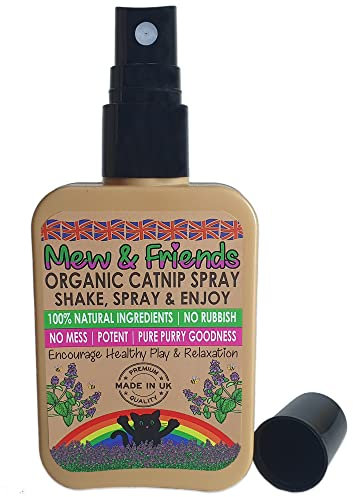 Mew & Friends Spray d'herbe à chat pour chats – Fabriqué au Royaume-Uni – Herbe à chat 100 % naturelle et biologique – Élevage durable – Un jouet parfait pour chat et friandise – Veuillez secouer