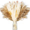 RYAN 100 Piezas Pampas Secas Decoracion 42 cm Flores Secas Naturales Ramas Secas Decorativas Boho Esponjosas para Interiores Hogar Jarrones Boda Fiesta Arreglos Florales