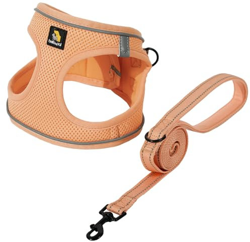 BELLA & PAL Hundegeschirr Kleine Hunde mit Leine, Step-in Geschirr aus Air Mesh, Anti Zug Reflektierend Atmungsaktiv Brustgeschirr, Welpengeschirr für Kleine Hunde, Katzengeschirr, Pfirsich, S
