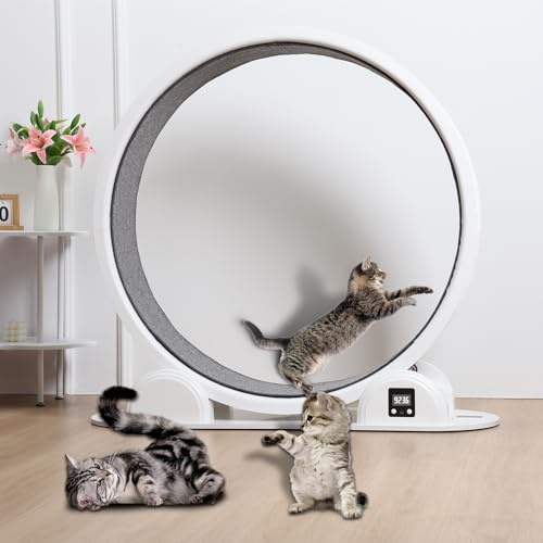 joukares Katzen-Trainingsrad, 44 Zoll großes Haustier-Laufband, Kunststoff-Katzenlaufräder, Fitnessrad für Indoor-Katzen, Laufen, Walking-Training, geeignet für die meisten Katzen, Weiß