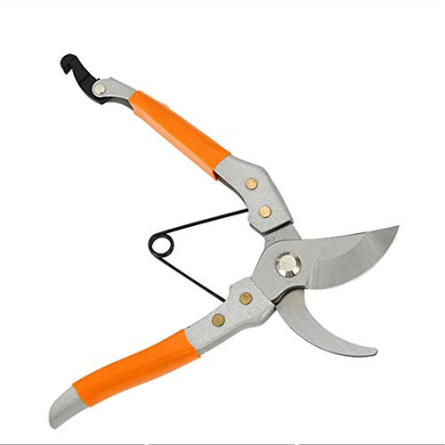 DDNGEJ Sécateur Couteau Outil de Jardin avec sécateurs Ciseaux tranchants et Solides Cisailles à Branches d'arbres à bonsaï Sécateurs tranchants en Acier pour l'entret