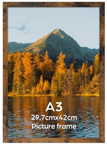 Vasemouh Bilderrahmen A3 (29,7 x 42 cm) 1 Stück, Vintage-Stil ideal für Wandmontage im Wohnzimmer, Schlafzimmer, Büro oder Flur