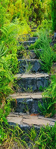 A.Monamour Türtapete Selbstklebend Türfolie Türposter 3D Grünes Gras Entlang Steinstufen Bäume Wald Naturlandschaft Vinyl Folie Türdeko Tapete Wandbild Türaufkleber Türtattoo 90 x 200 cm