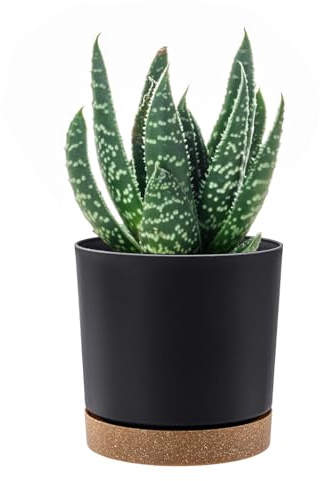PAFEN Runde Blumentopf 35l Zylinder Pflanzkübel - 39 x 37,5cm - Blumenkübel mit Untersetzer Rund Übertopf, Anthrazit