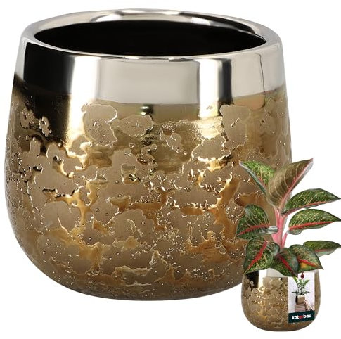 KOTARBAU® Maceta de cerámica redonda con efecto espejo, 10 cm de altura, 11 cm, 1 unidad, grande, glamour, para interior