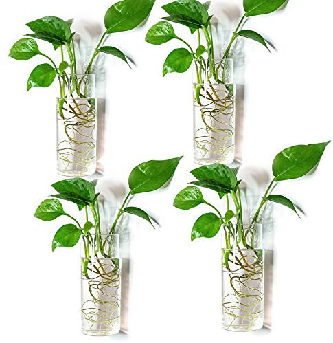 Kingbuy Fioriera da parete per terrario, stazione di propagazione delle piante, vaso da parete in vetro per casa, cucina, davanzale, regali per gli amanti delle piante, cilindro medio trasparente,