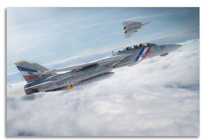 qiyan F-14 Kampfflugzeug-Poster, dekorative Malerei, Leinwand, Wandposter und Kunstdruck, moderne Familienschlafzimmer-Dekoration, Poster, 40 x 60 cm