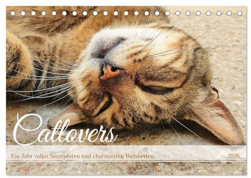 Catlovers - Ein Jahr voller Samtpfoten und charmanten Weisheiten (Tischkalender 2026 DIN A5 quer), CALVENDO Monatskalender: Katzenportraits untermalt mit Zitaten und Sprüchen. (CALVENDO Tiere)