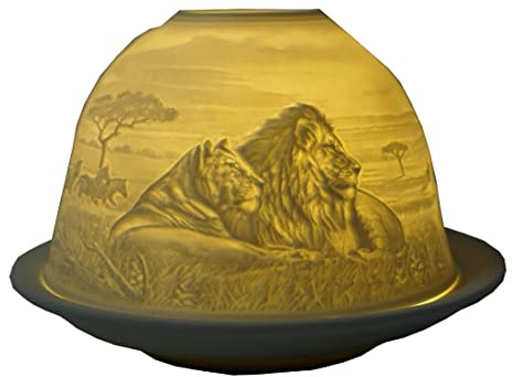 CBK-MS Dome Light Löwen Windlicht Löwe Löwenbaby Katze Tiere Afrika Panthera Leo Teelichthalter