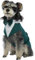 Hunde Hochzeit Anzug Set, Smoking Hemd Hund Halstuch mit Fliege Weihnachten Outfit Kleidung für Hochzeit Party Geburtstag Halloween(Dunkelgrün, M)