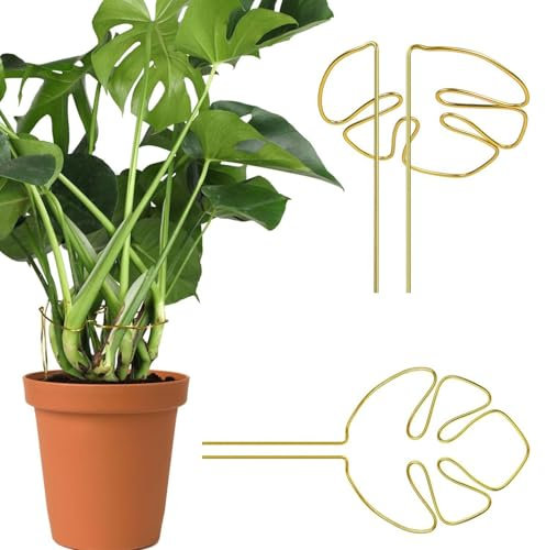 Srvauyea Set di 2 Supporti per Piante Monstera, Supporti per Piante da Interno, Traliccio Monstera, Supporto per Steli Multiuso con Design Unico a Forma di Foglie per Alocasia e Monstera