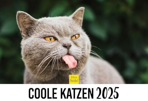 Edition Seidel Premium Kalender Coole Katzen 2025 DIN A4 Wandkalender Katzenkalender Haustiere Kätzchen Katze Kater Kitten lustige Sprüche Motivation