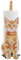 Porte-Rouleau de Papier Toilette Porte-Papier Toilette Porte-Papier Toilette Distributeur de mouchoirs en Forme de Chat Organisateur de Rouleau de Papier Toilette pour Table de Cuisine Jaune