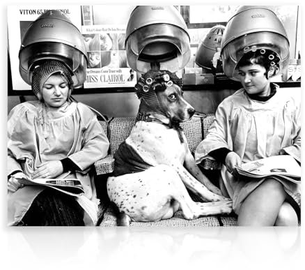Dazzlewall Lustiges Hunde Bild, Vintage Hund und Frau im Frisiersalon Gemälde, Schwarz Weiß Tierbild für Badezimmer Schlafzimmer Deko 12x16 Zoll Ungerahmt