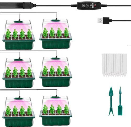 XVZ Set de cultivo, cultivo de plantas, invernadero, juego de 6 cuencos con tapa, invernadero con luz, mini invernadero, crecimiento y humedad adecuados