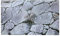 NA PVC Adhesive Aquarium Background Sticker Rock Stone Fish Tank Wallpaper Fish Tank Poster Backdrop for Fish Tank
