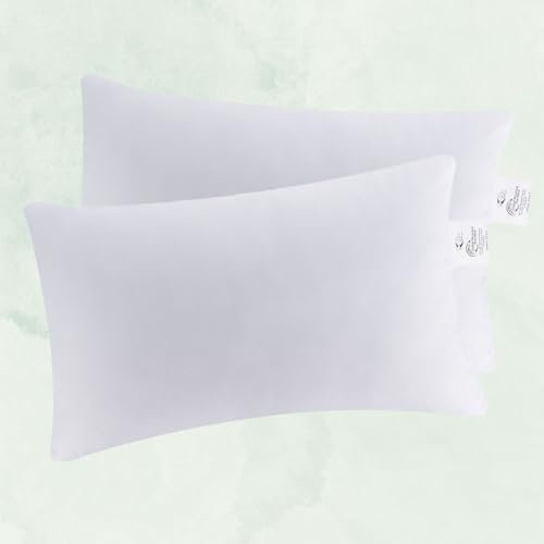 MOON 2er Pack Planet Füllkissen Innenkissen Sofakissen ca. 30x50-220g Recycelten Fasern extra fest