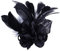 Feder Brosche,Damen Fascinator Hut Feder Haarclip Elegante Ansteckblume Brosche Blume mit Perlen Brosche Feder Kopfschmuck Anstecknadel Abzeichen für Fasching Haarklammer Hochzeit Bankett Party