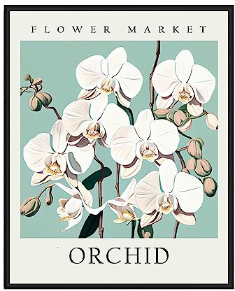 Orchideen-Kunstdruck, Blumenmarkt-Poster, Wandkunst, Dekoration, botanisches Blumen-Kunstwerk für Schlafzimmer, Badezimmer, Wohnzimmer, Dekoration (Orchidee, 40,6 x 50,8 cm (ungerahmt)