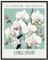 Orchideen-Kunstdruck, Blumenmarkt-Poster, Wandkunst, Dekoration, botanisches Blumen-Kunstwerk für Schlafzimmer, Badezimmer, Wohnzimmer, Dekoration (Orchidee, 40,6 x 50,8 cm (ungerahmt)