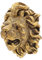 COLLBATH Garden Lion Head Water Fountain Spitter Wall Mounted Resin Nozzle for Outdoor Water Features Elegant Decorative Sprayer Aesthetic for Home and Garden