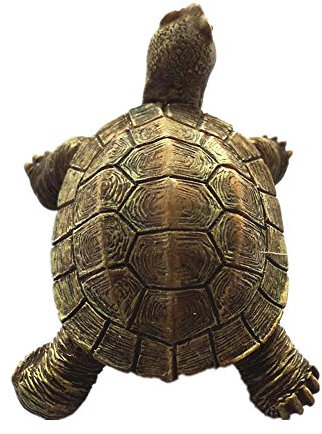 MUYU Magnet Kühlschrankmagnet mit Elefanten-Schildkröte der Galapagosinseln, Ecuador, Souvenir, Dekoration für Zuhause und Küche, Polyresin, Basteln, Galapagos-Inseln, Ecuador, Kühlschrankmagnet,
