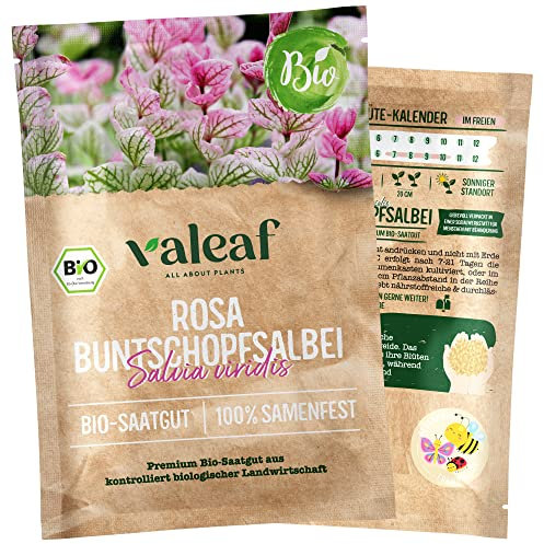 valeaf BIO Wilde Blumen Samen I Premium Wildblumensamen zur Blumen Anzucht I Bunte Wildblumenwiese für Garten, Balkon I samenfestes Blumen Saatgut I Pflanzensamen (Buntschopfsalbei rosa (BIO))